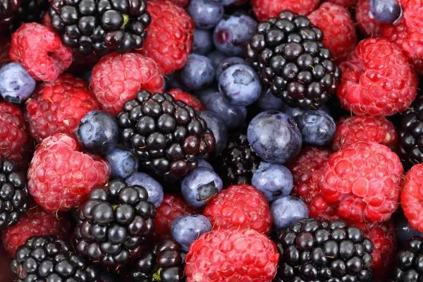 Dieta mediterranea: origini, verità e curiosità sulla dieta più apprezzata al mondo  Dieta mediterranea: origini, verità e curiosità sulla dieta più apprezzata al mondo
