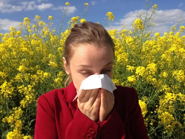 Allergie ai pollini primaverili: mi bruciano e lacrimano gli occhi. Allergie ai pollini primaverili: mi bruciano e lacrimano gli occhi.