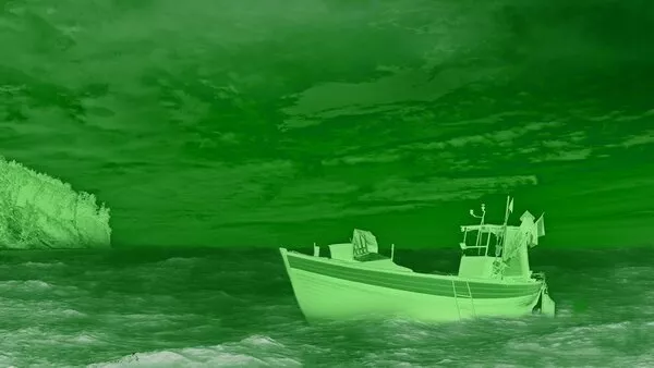 Visione notturna: 6 alimenti che aiutano a migliorarla