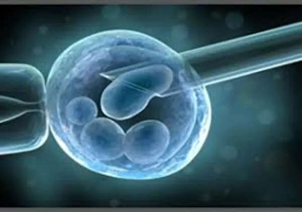 Le cellule staminali possono aiutare nella degenerazione maculare visiva: ecco cosa emerge dalle ultime scoperte