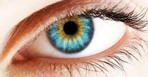 Iridologia: tutte le scomode verità sull’arte di “leggere gli occhi”