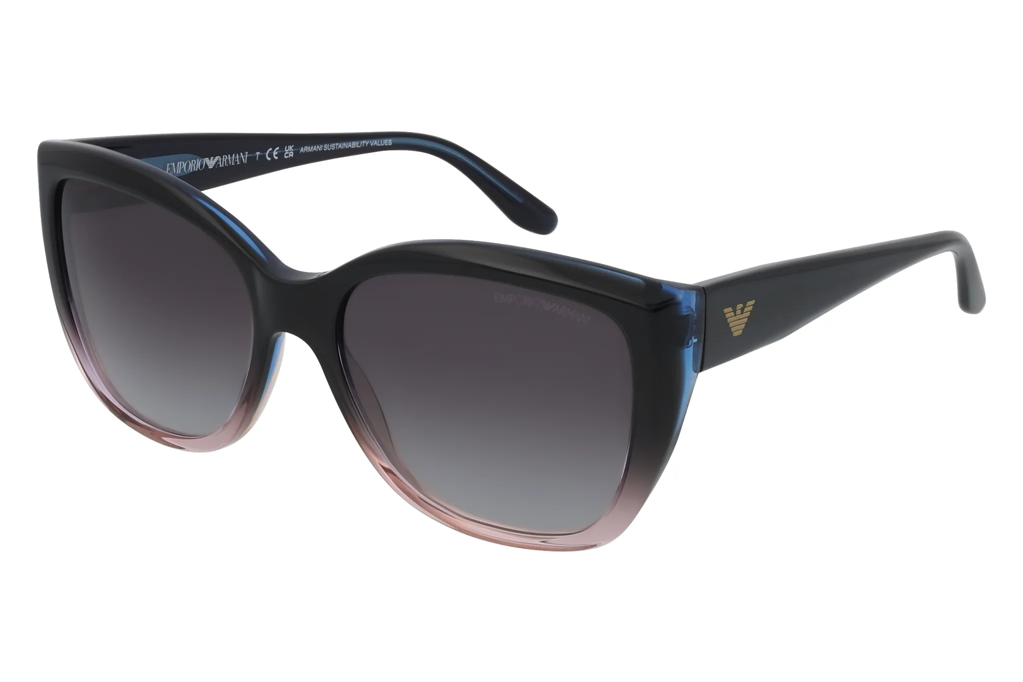 OCCHIALI DA SOLE EMPORIO ARMANI EA4198_55