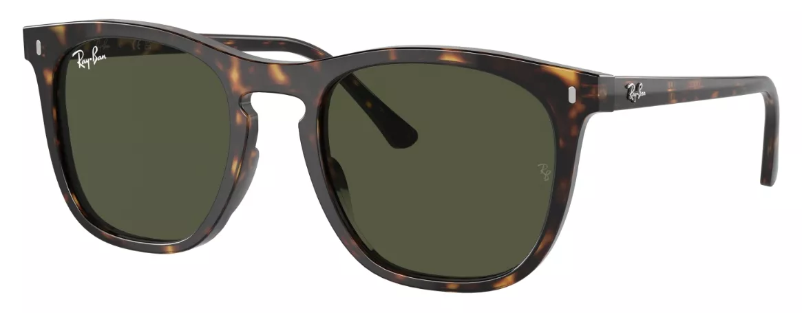 OCCHIALI DA SOLE RAY BAN RB2210_53