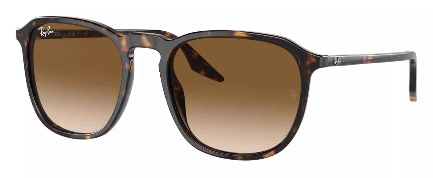 OCCHIALE DA SOLE RAY BAN RB2203_55